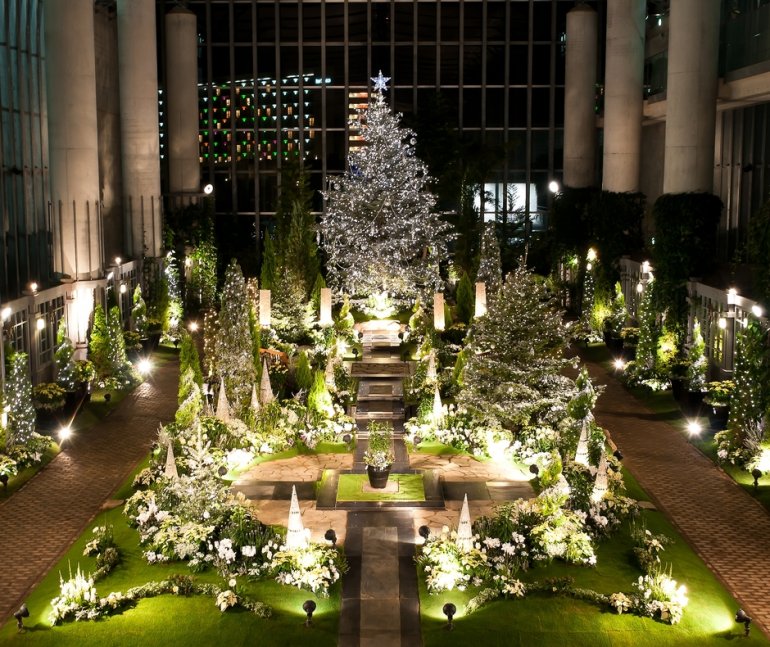 【奇跡の星の植物館】クリスマスフラワーショー 2020