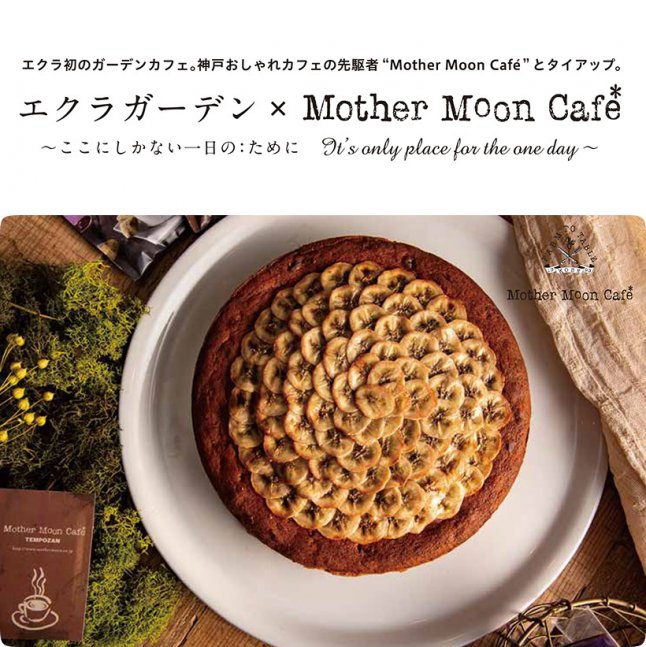 エクラガーデン × Mother Moon Cafe【うるおい交流館エクラ】