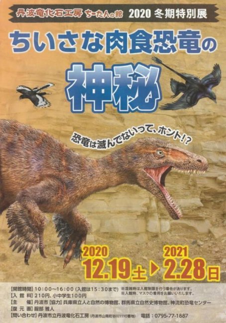 2020年 冬期特別展『ちいさな肉食恐竜の神秘』【丹波市】