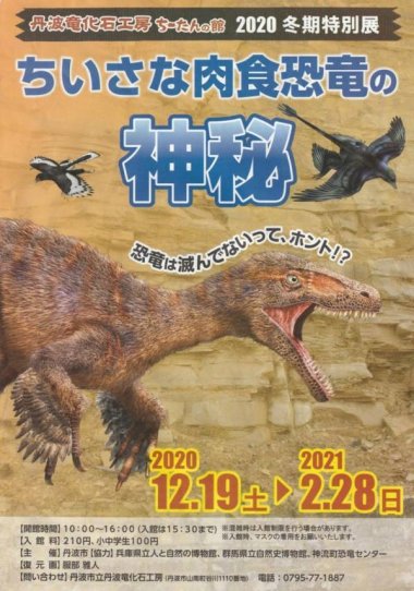 2020年 冬期特別展『ちいさな肉食恐竜の神秘』【丹波市】