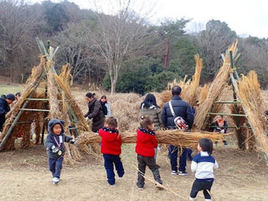 茅の秘密基地と草原の生きもの【三木山森林公園】