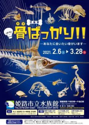 企画展「骨ばっかり！！ 〜あなたに会いたい骨がいます〜」【姫路市立水族館】