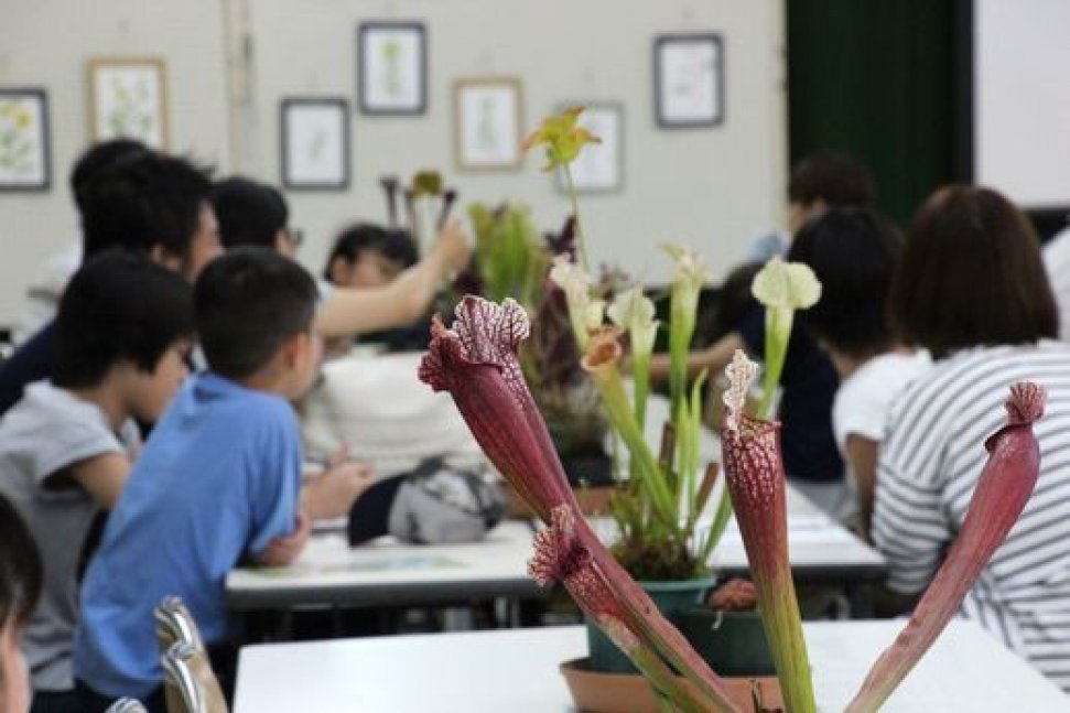 食虫植物教室【兵庫県立フラワーセンター】