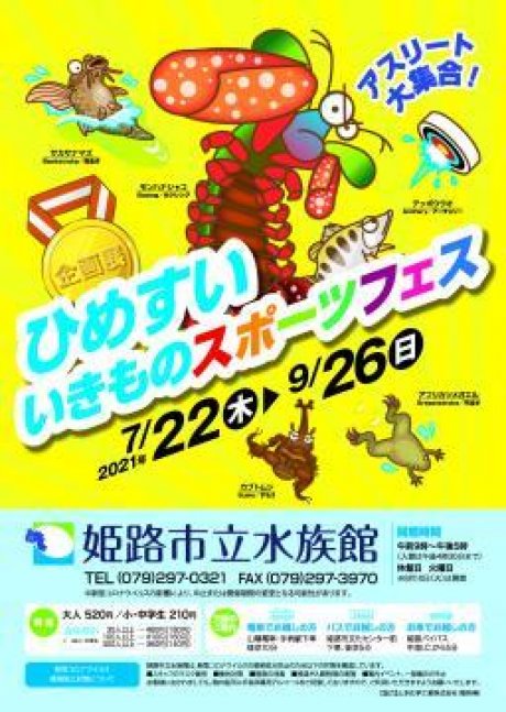企画展「アスリート大集合！ひめすい いきものスポーツフェス」【姫路市立水族館】