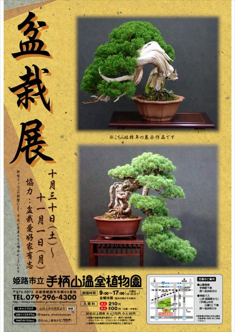 盆栽展【手柄山温室植物園】