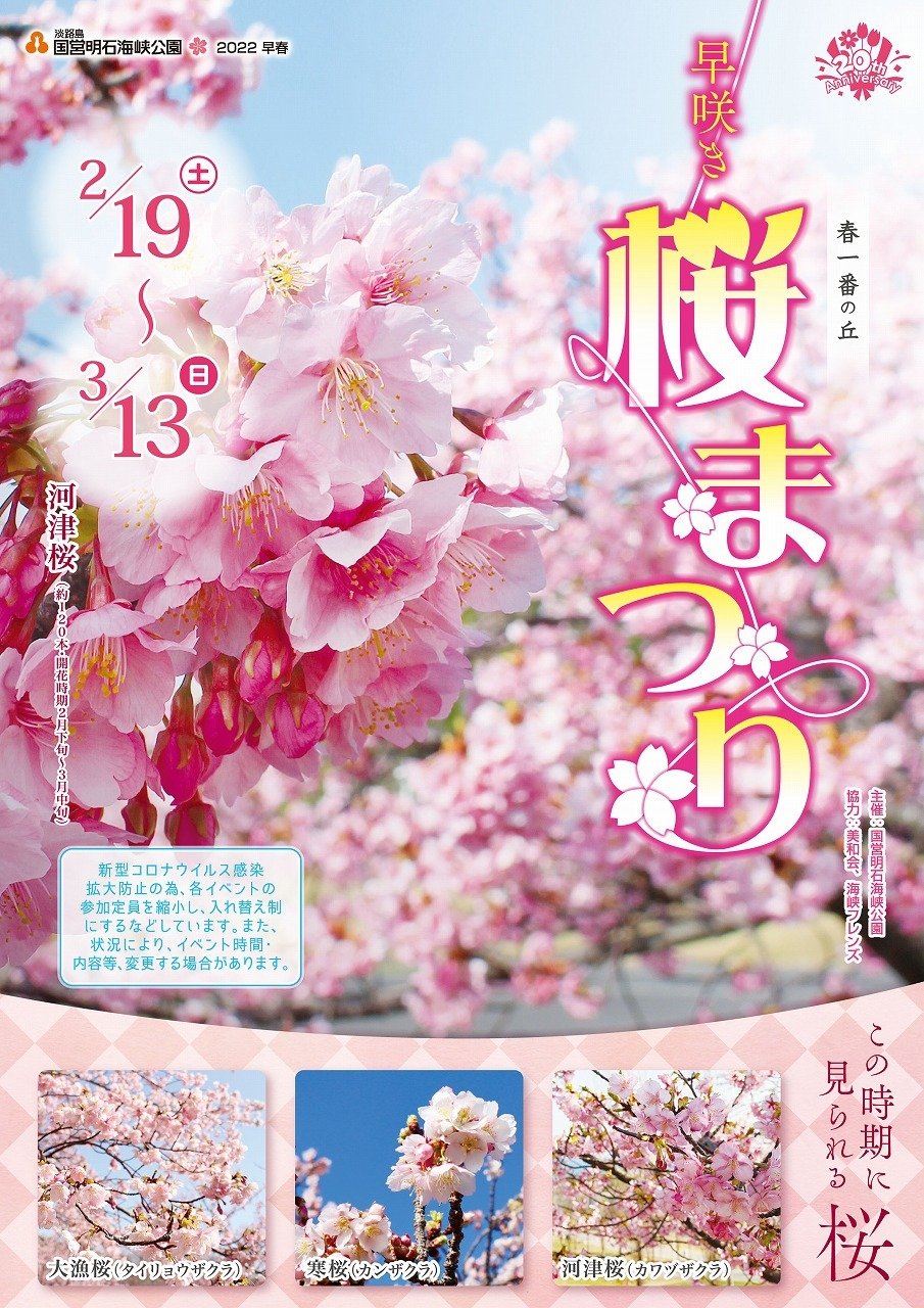 淡路市・早咲き 桜まつり【淡路島 国営明石海峡公園】｜クルールはりま