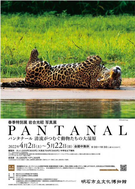 春季特別展 岩合光昭 写真展 PANTANAL パンタナール 清流がつむぐ動物たちの大湿原【明石市立文化博物館】