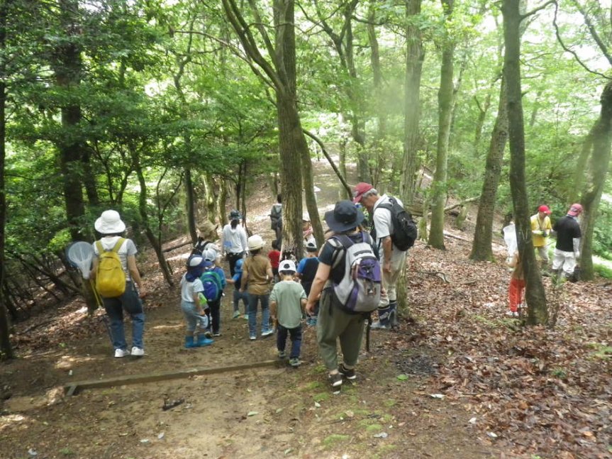 【要申込／先着順】国見で昆虫を探そう【国見の森公園】