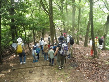 【要申込／先着順】国見で昆虫を探そう【国見の森公園】