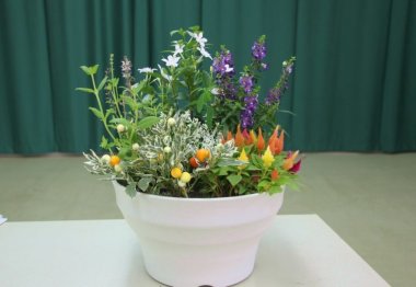 【要予約】夏の寄せ植え教室【兵庫県立フラワーセンター】