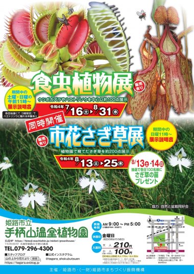 食虫植物展【手柄山温室植物園】