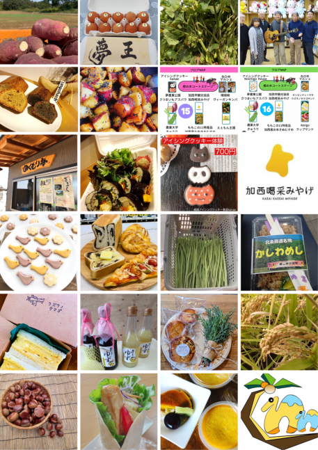 地産地消 収穫祭【イオンモール加西北条】