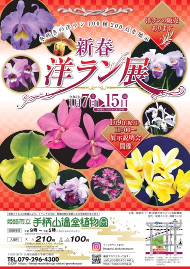 新春洋ラン展【手柄山温室植物園】