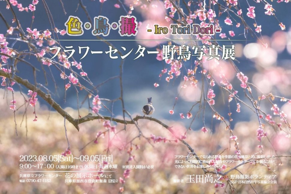 フラワーセンター野鳥写真展 色・鳥・撮 ーIro Tori Doriー【兵庫県立フラワーセンター】