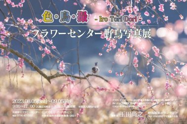 フラワーセンター野鳥写真展 色・鳥・撮 ーIro Tori Doriー【兵庫県立フラワーセンター】