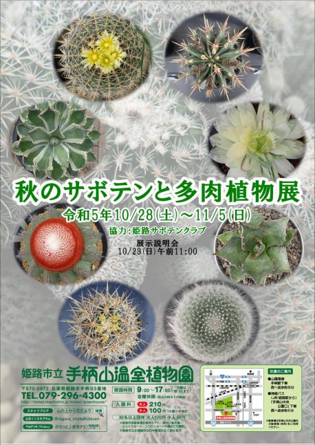 秋のサボテンと多肉植物展【手柄山温室植物園】
