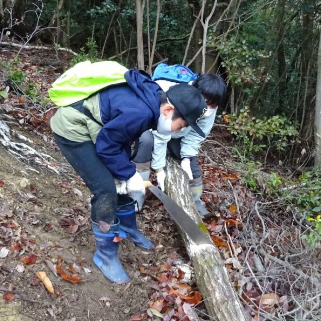 【申込要／先着順】きのこを作ろう（第2回 原木の玉切り）【ゆめさきの森公園】