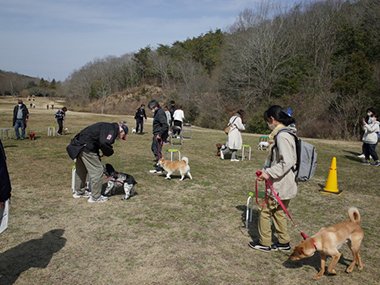 【2/1 受付開始】楽しく学ぼう 愛犬のお散歩マナー【三木山森林公園】