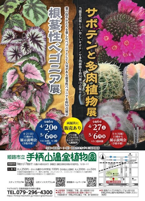 サボテンと多肉植物展【手柄山温室植物園】