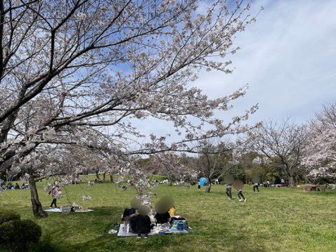 桜の時期にはお花見客も多いです