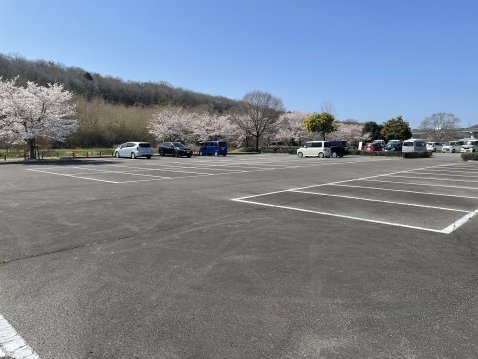 広い駐車場は70台以上駐車可能
