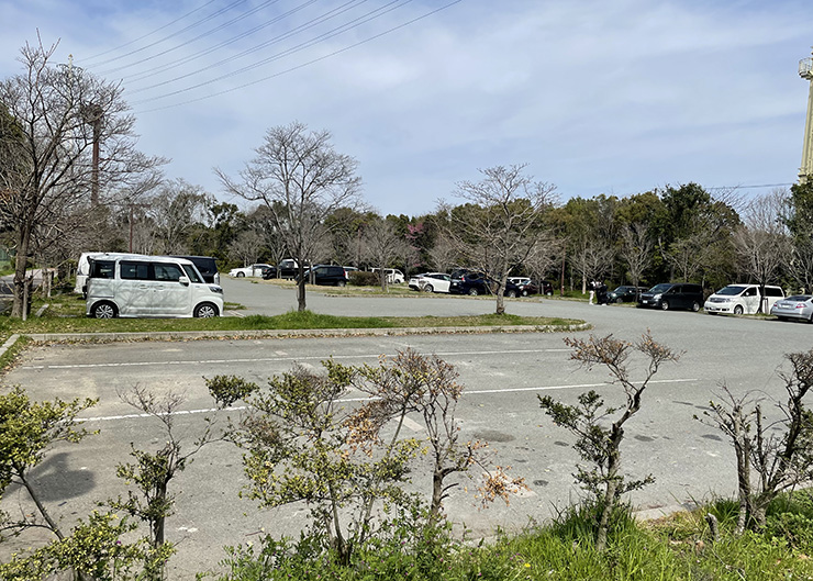 浜手緑地中島東地区