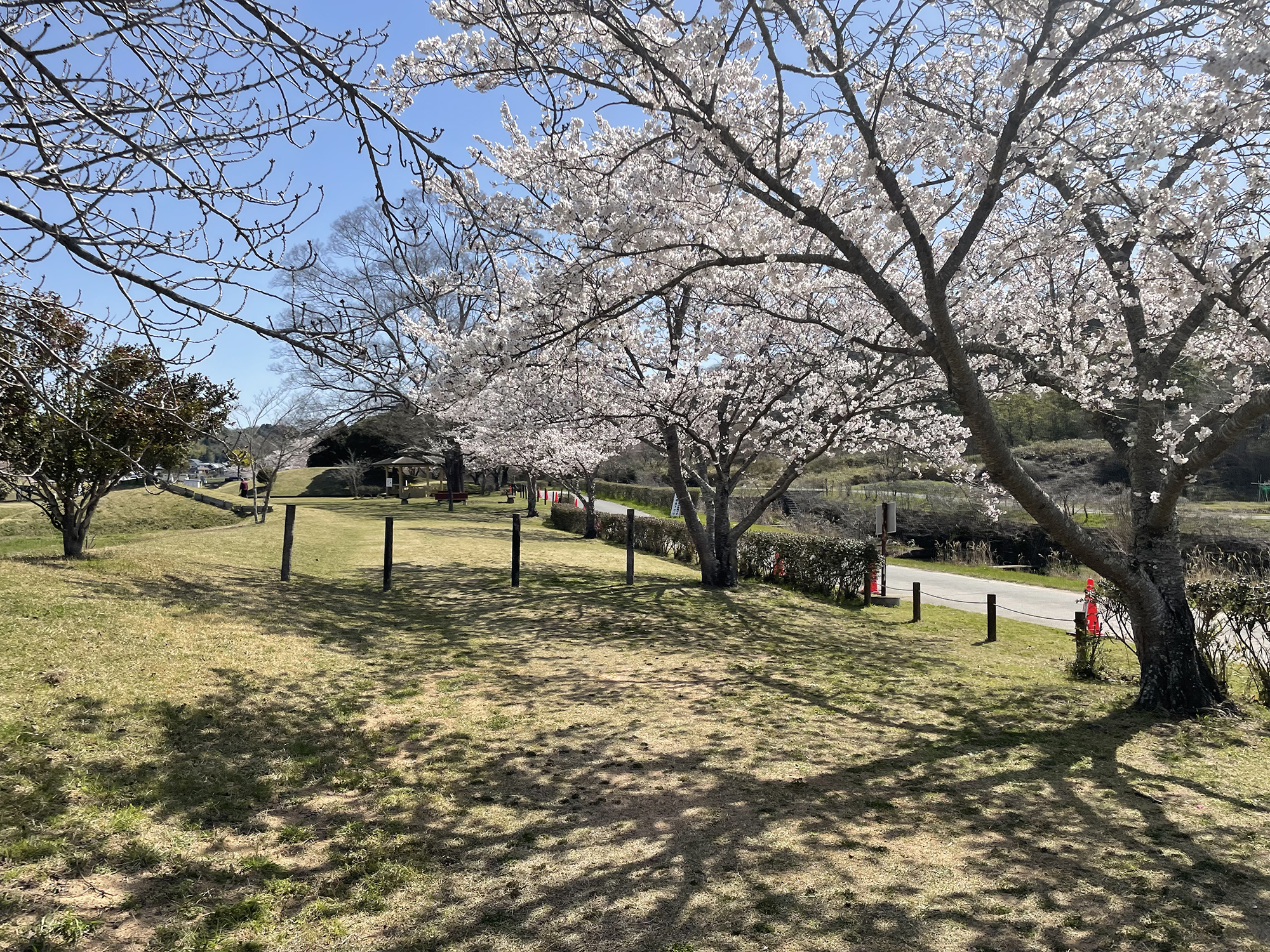 山田の里公園