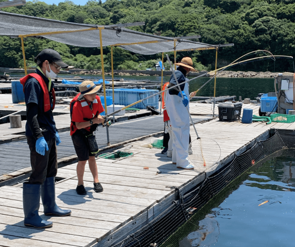 【夏休みこども1名無料プラン】 漁師の技を間近で見学！　漁業見学船でめぐる家島諸島＆海の幸ランチ ～海上釣り堀でプチ釣り堀体験～