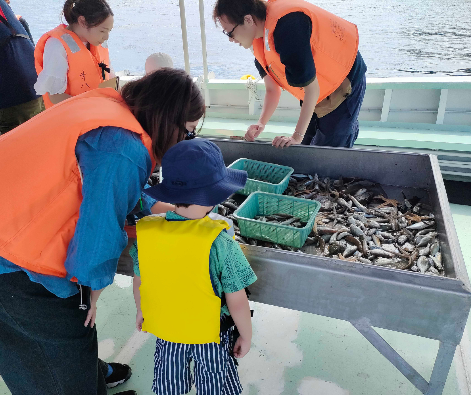 【夏休み親子体験】大人気！海の上から漁業を見学&お魚の選別体験　～坊勢島で海水浴タイム付き～
