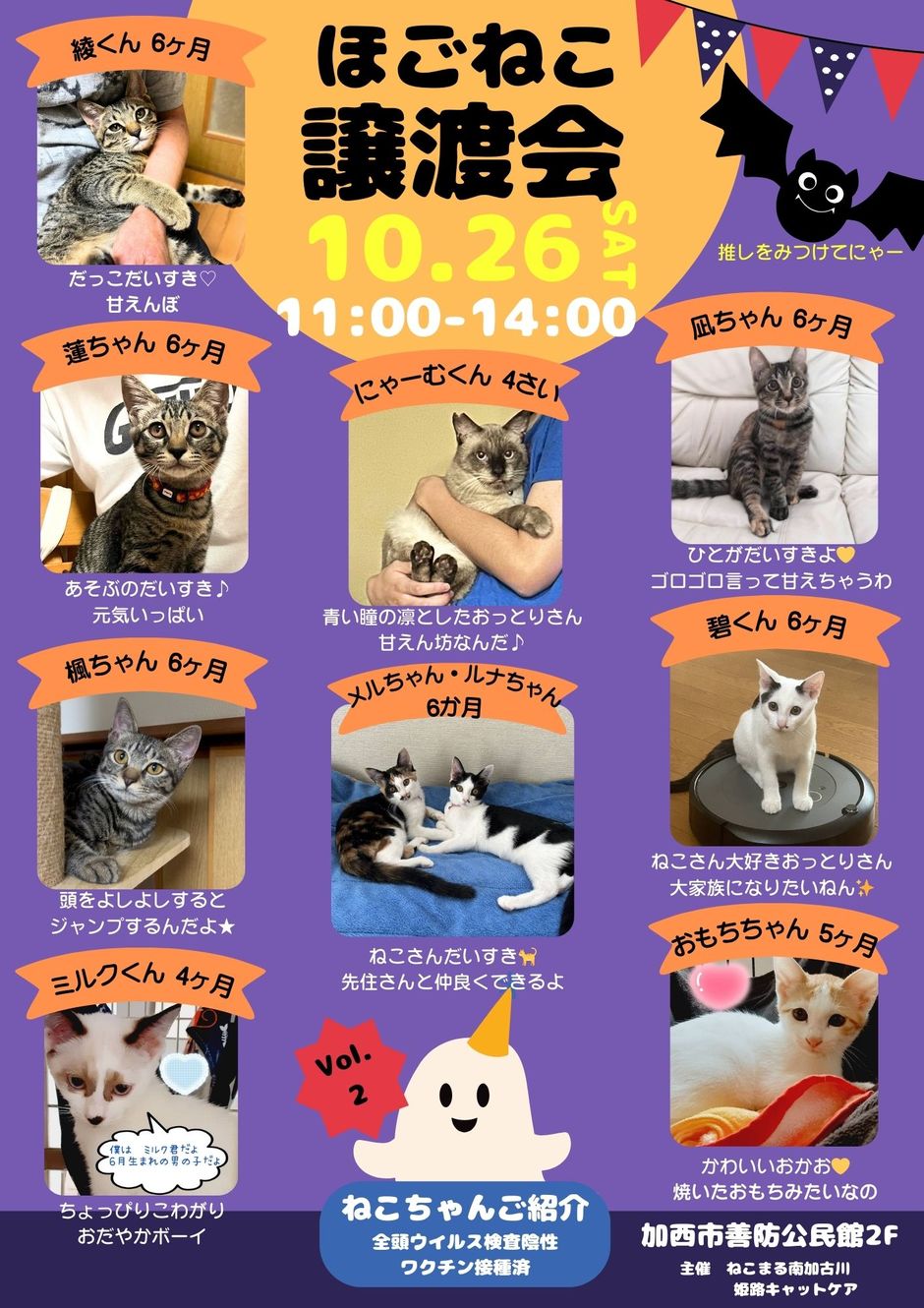 加西市・《善防公民館まつり》ほごねこ譲渡会｜クルールはりま