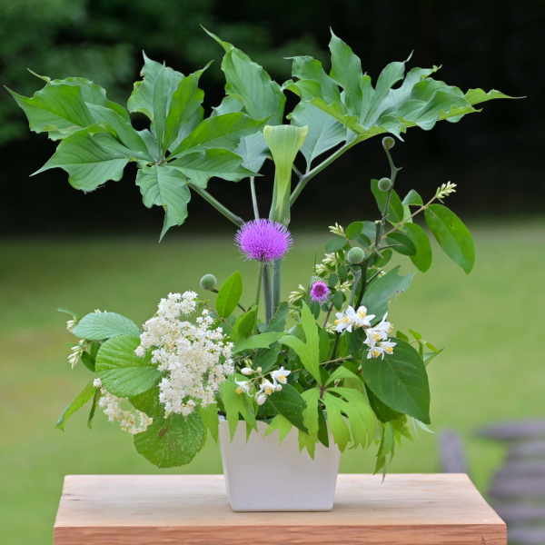 【申込要／先着順】野草でフラワーアレンジメント・第246回【ゆめさきの森公園】