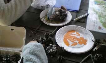 【2/1申込開始】３月おやこ森あそび【姫路市自然観察の森】