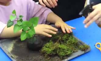 【2/1申込開始】コケ玉作り【姫路市自然観察の森】