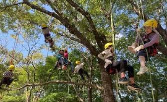 【2/1申込開始】ロープで木登り(ツリーイング）【姫路市自然観察の森】