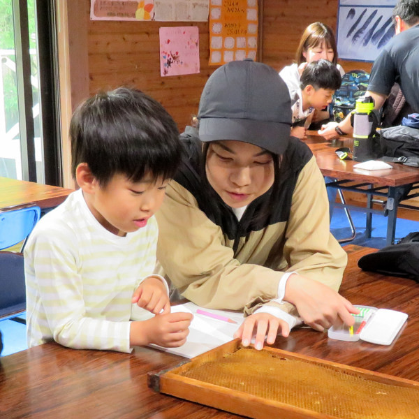 【申込要／先着順】ミツバチのひみつ【ゆめさきの森公園】