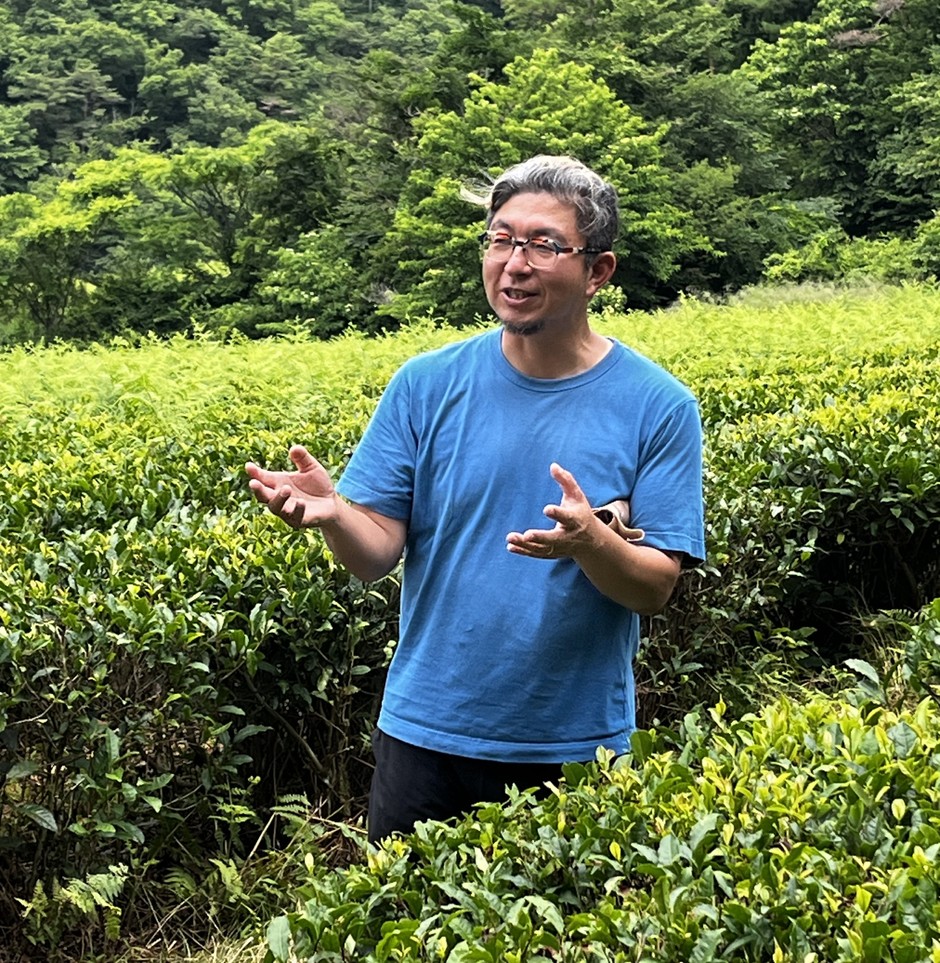 【神河町】空き家見学＆お茶摘み体験ツアー