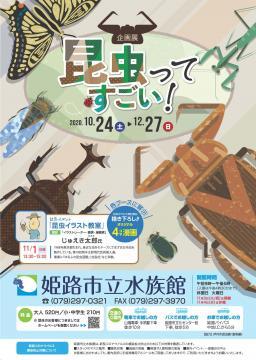 企画展「昆虫ってすごい！」【姫路市立水族館】