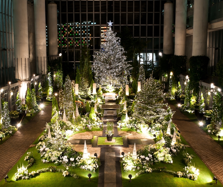【奇跡の星の植物館】クリスマスフラワーショー 2020