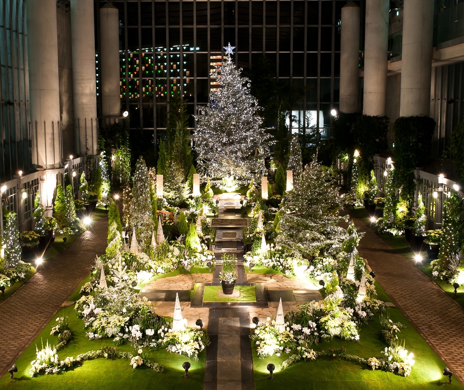 淡路市 奇跡の星の植物館 クリスマスフラワーショー クルールはりま