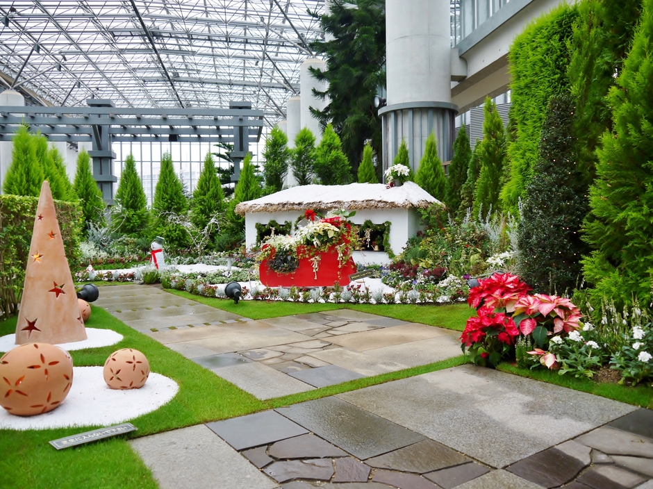 【奇跡の星の植物館】クリスマスフラワーショー 2020