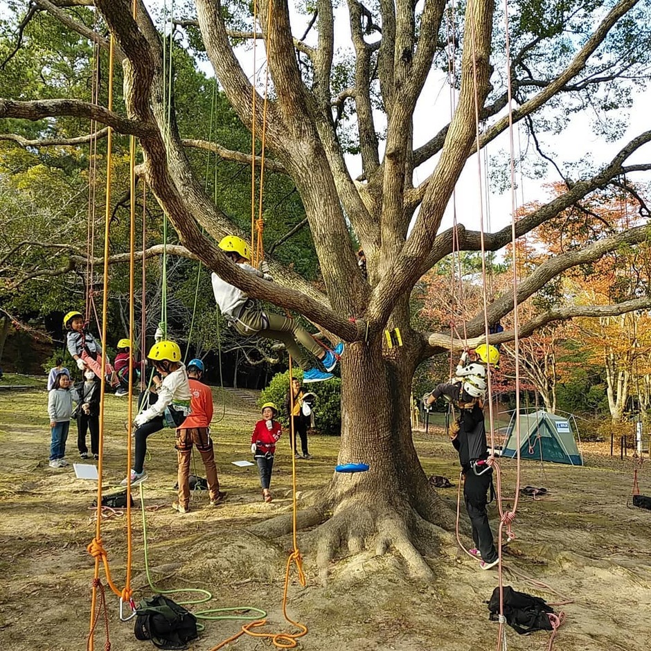加古川市 日岡山公園 ツリーイング体験 クルールはりま 加古川市 日岡山公園 ツリーイング体験 クルールはりま