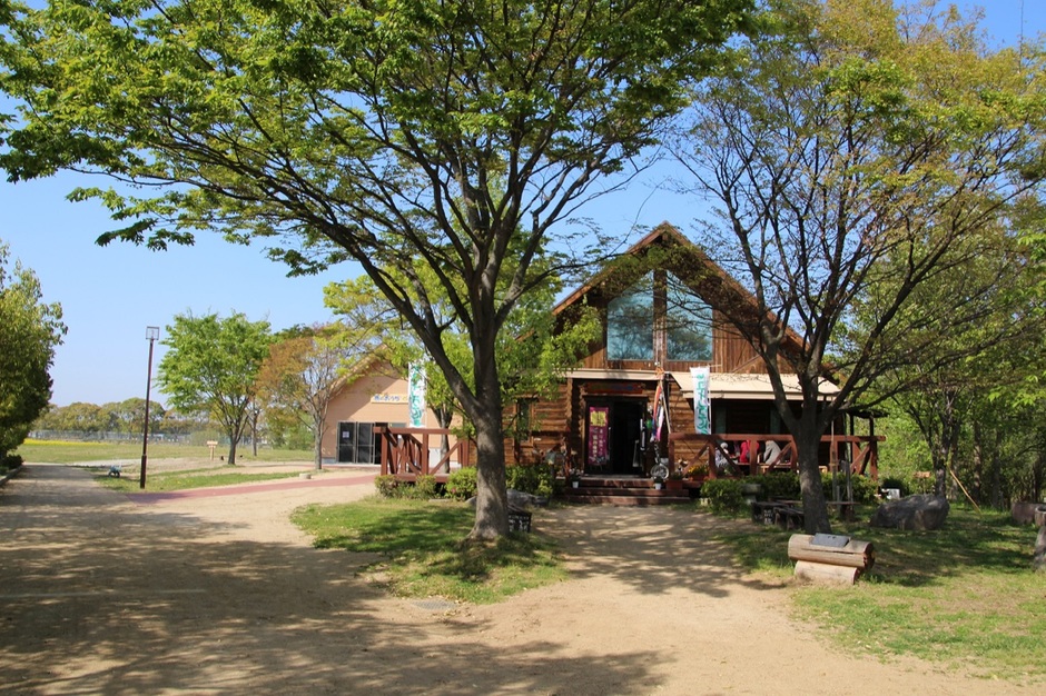 冬の生きものさがし【いなみ野水辺の里公園】
