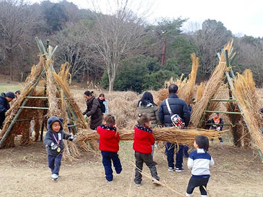茅の秘密基地と草原の生きもの【三木山森林公園】