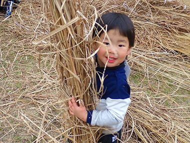 茅の秘密基地と草原の生きもの【三木山森林公園】