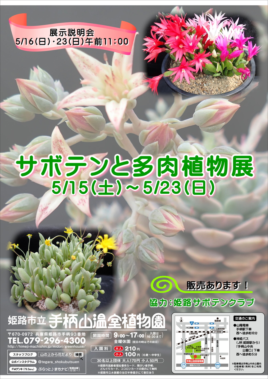 手柄山温室植物園 サボテンと多肉植物展 クルールはりま