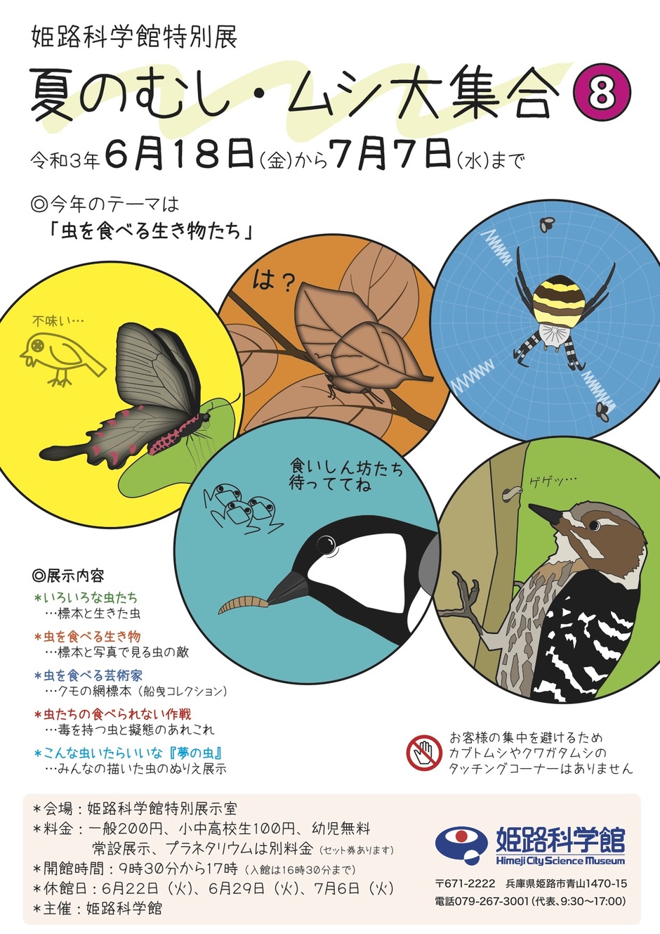 姫路科学館特別展 夏のむし ムシ大集合8 虫を食べる生き物たち クルールはりま