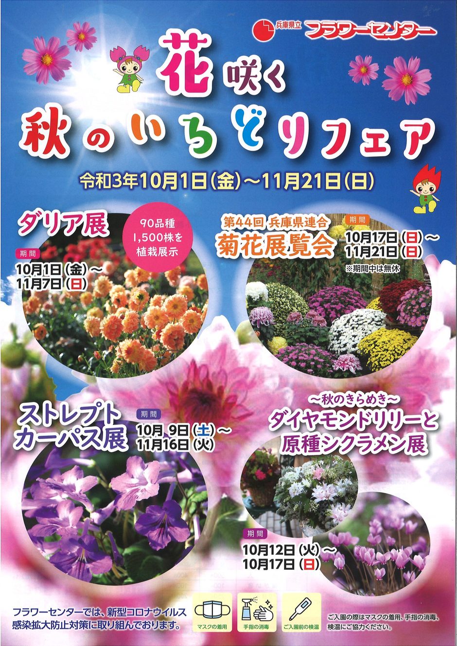 花咲く秋のいろどりフェア【兵庫県立フラワーセンター】｜クルールはりま