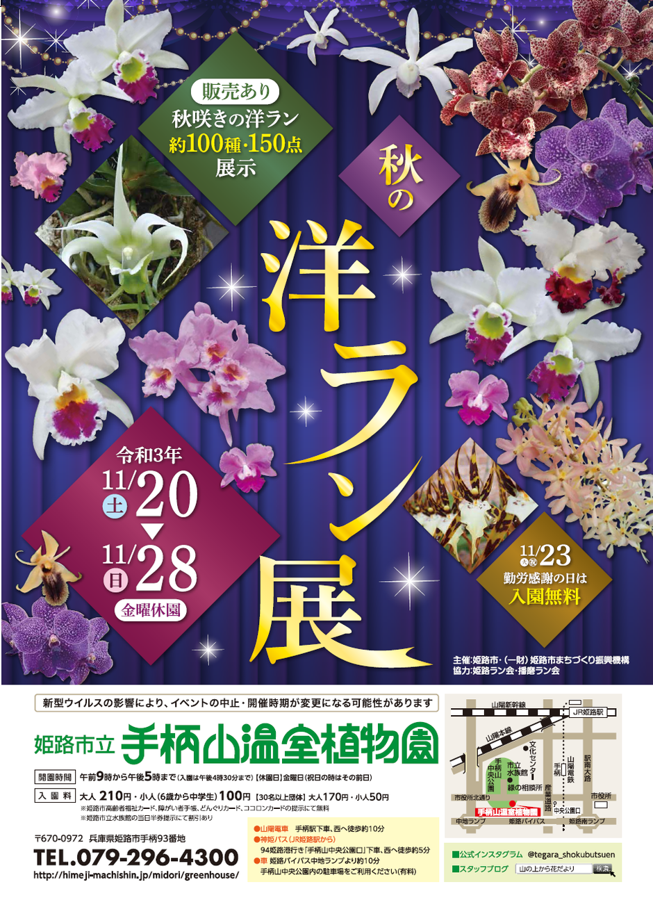 秋の洋ラン展【手柄山温室植物園】