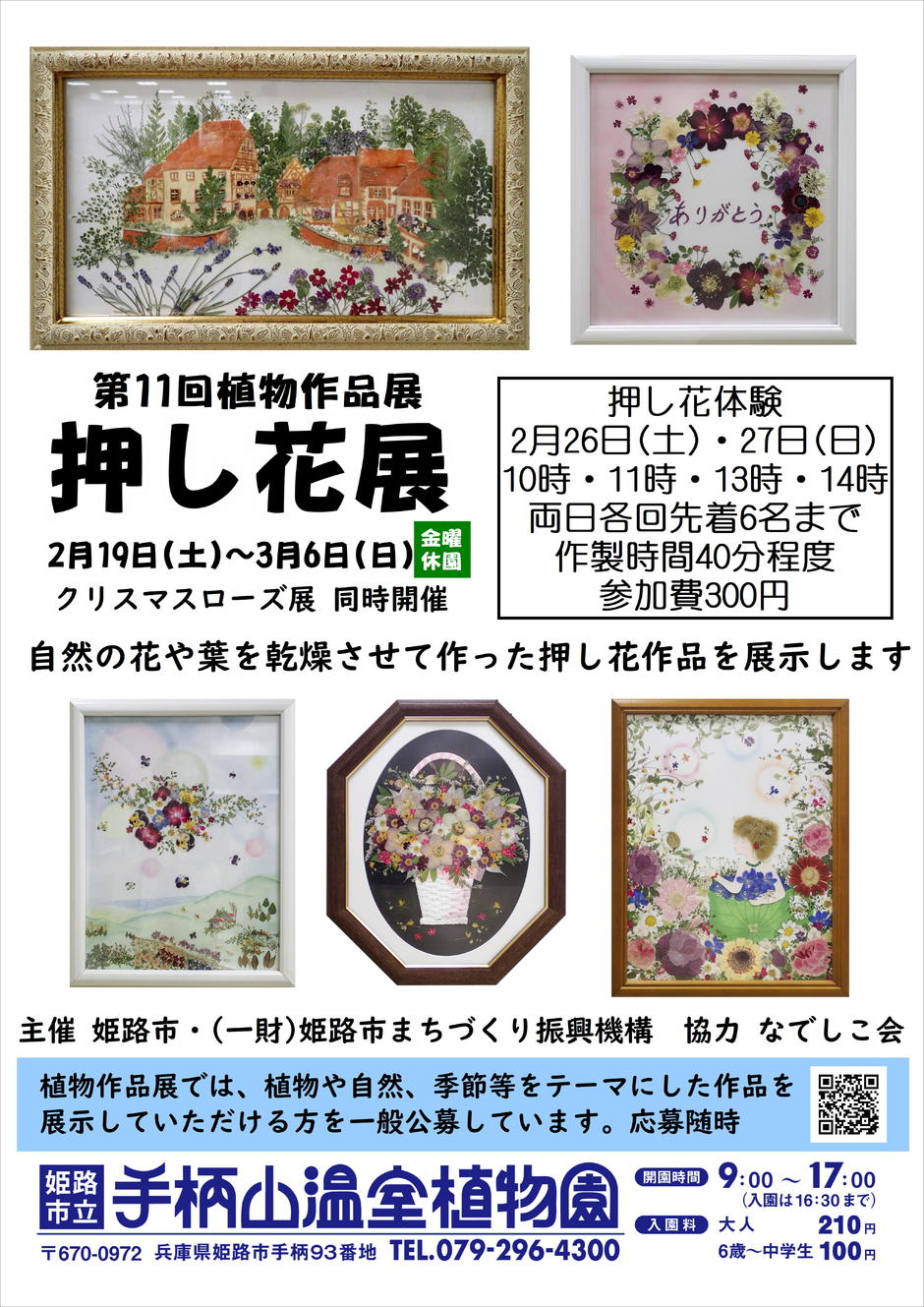 姫路市・第11回植物作品展「押し花展」【手柄山温室植物園】｜クルール