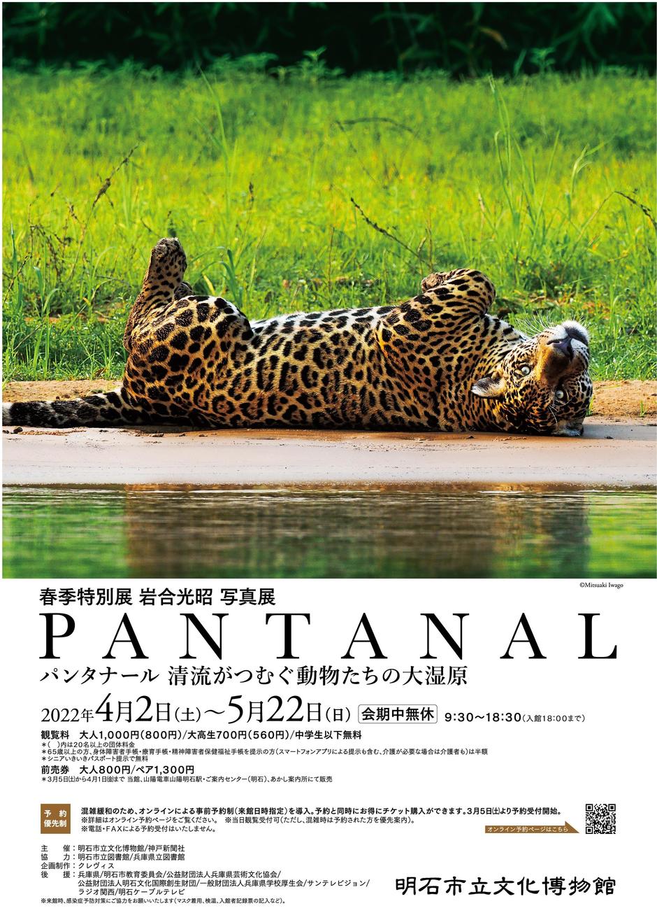 春季特別展 岩合光昭 写真展 PANTANAL パンタナール 清流がつむぐ動物たちの大湿原【明石市立文化博物館】